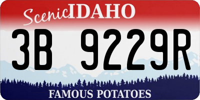 ID license plate 3B9229R