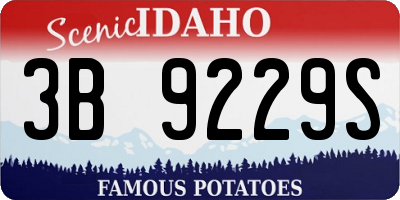 ID license plate 3B9229S