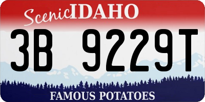 ID license plate 3B9229T