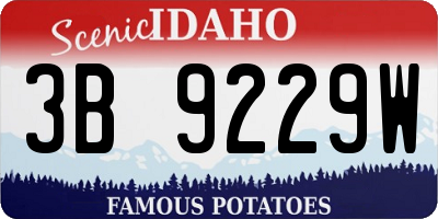 ID license plate 3B9229W
