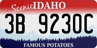 ID license plate 3B9230C