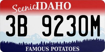ID license plate 3B9230M