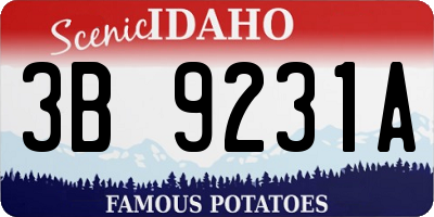 ID license plate 3B9231A