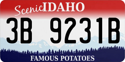 ID license plate 3B9231B