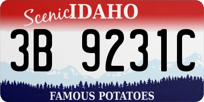 ID license plate 3B9231C