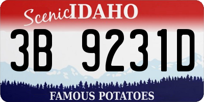 ID license plate 3B9231D