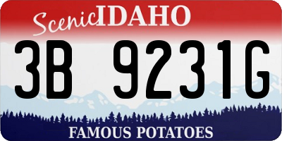 ID license plate 3B9231G