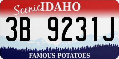 ID license plate 3B9231J
