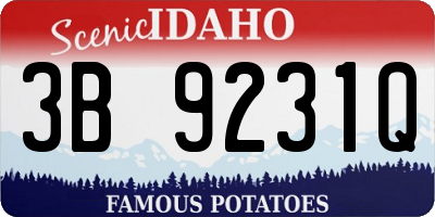 ID license plate 3B9231Q