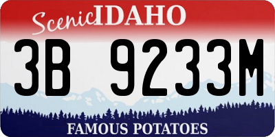 ID license plate 3B9233M