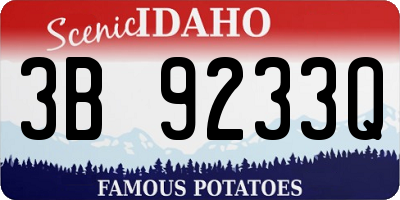 ID license plate 3B9233Q