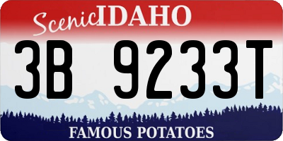 ID license plate 3B9233T