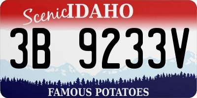 ID license plate 3B9233V