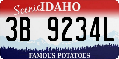ID license plate 3B9234L