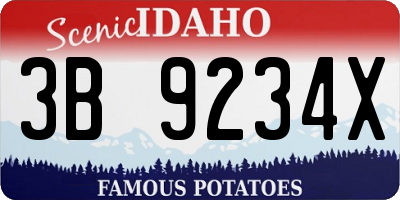 ID license plate 3B9234X