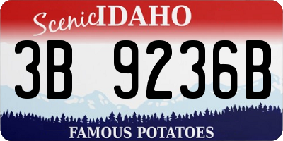 ID license plate 3B9236B