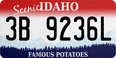 ID license plate 3B9236L
