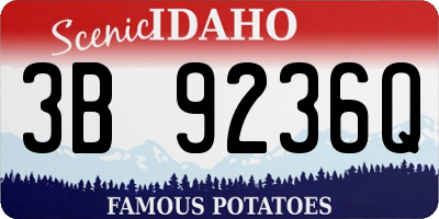 ID license plate 3B9236Q