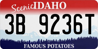 ID license plate 3B9236T