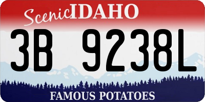 ID license plate 3B9238L
