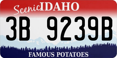 ID license plate 3B9239B
