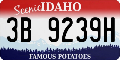 ID license plate 3B9239H