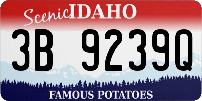 ID license plate 3B9239Q