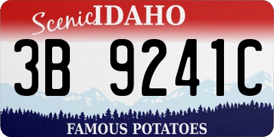 ID license plate 3B9241C