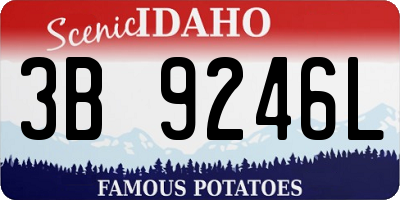 ID license plate 3B9246L