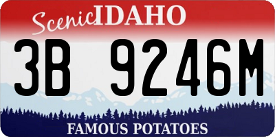 ID license plate 3B9246M