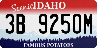 ID license plate 3B9250M