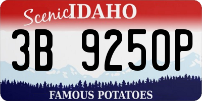ID license plate 3B9250P