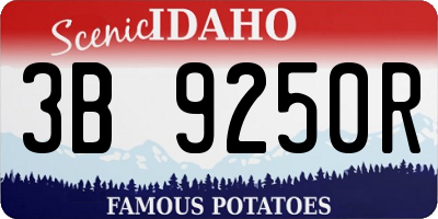 ID license plate 3B9250R