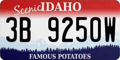 ID license plate 3B9250W