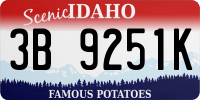 ID license plate 3B9251K