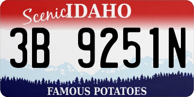 ID license plate 3B9251N