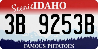 ID license plate 3B9253B