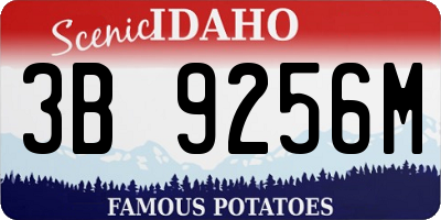 ID license plate 3B9256M