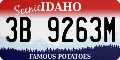 ID license plate 3B9263M