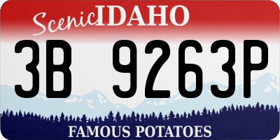 ID license plate 3B9263P