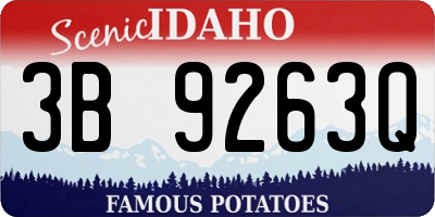 ID license plate 3B9263Q