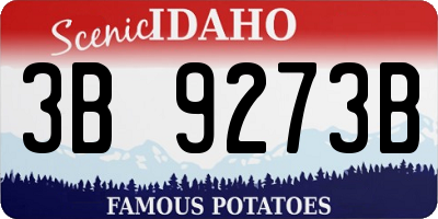 ID license plate 3B9273B
