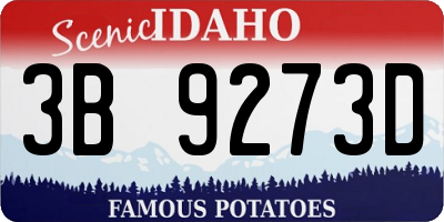 ID license plate 3B9273D