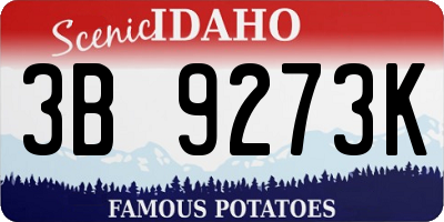 ID license plate 3B9273K