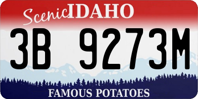 ID license plate 3B9273M