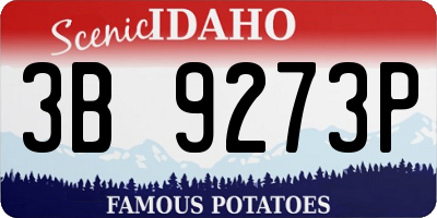 ID license plate 3B9273P