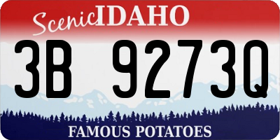 ID license plate 3B9273Q
