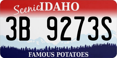 ID license plate 3B9273S