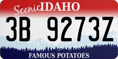 ID license plate 3B9273Z
