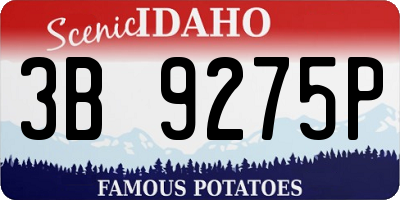 ID license plate 3B9275P